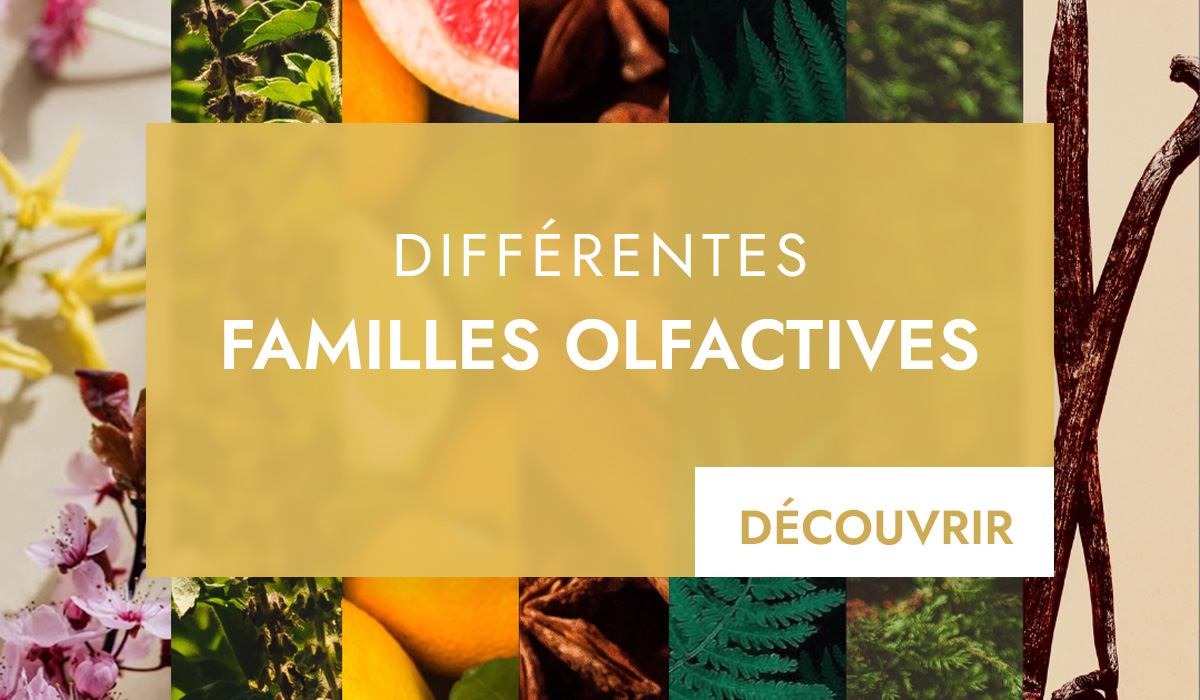 differentes familles olfactives parfums &bull; Les Différentes Familles Olfactives des Parfums Orientaux &bull; Parfums Oriental